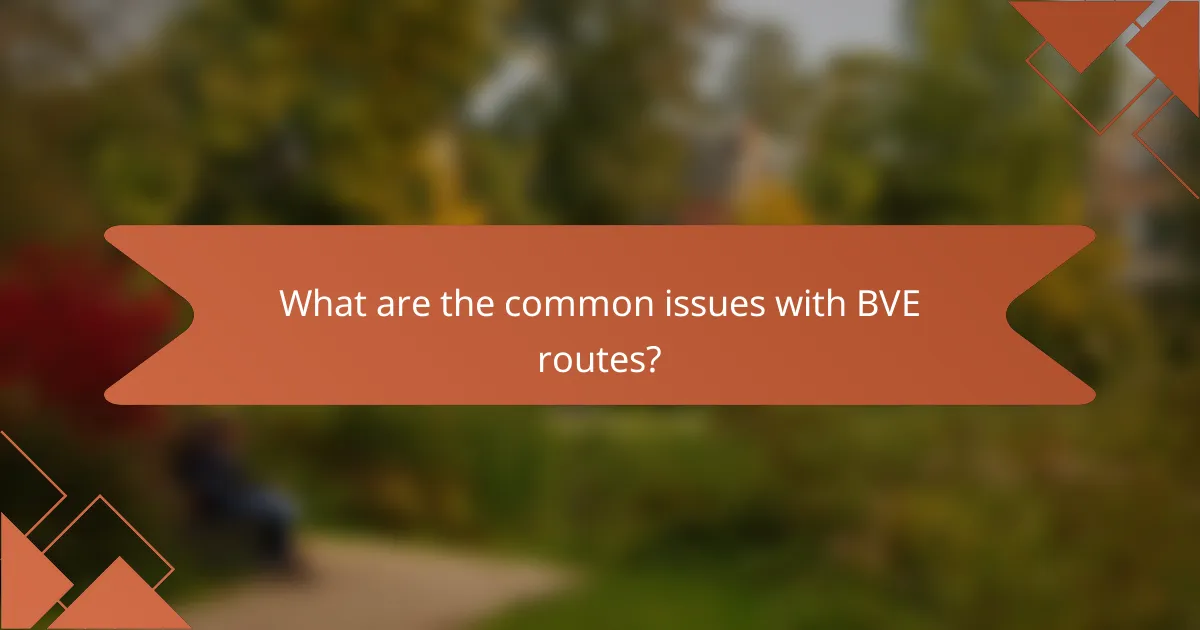 What are the common issues with BVE routes?