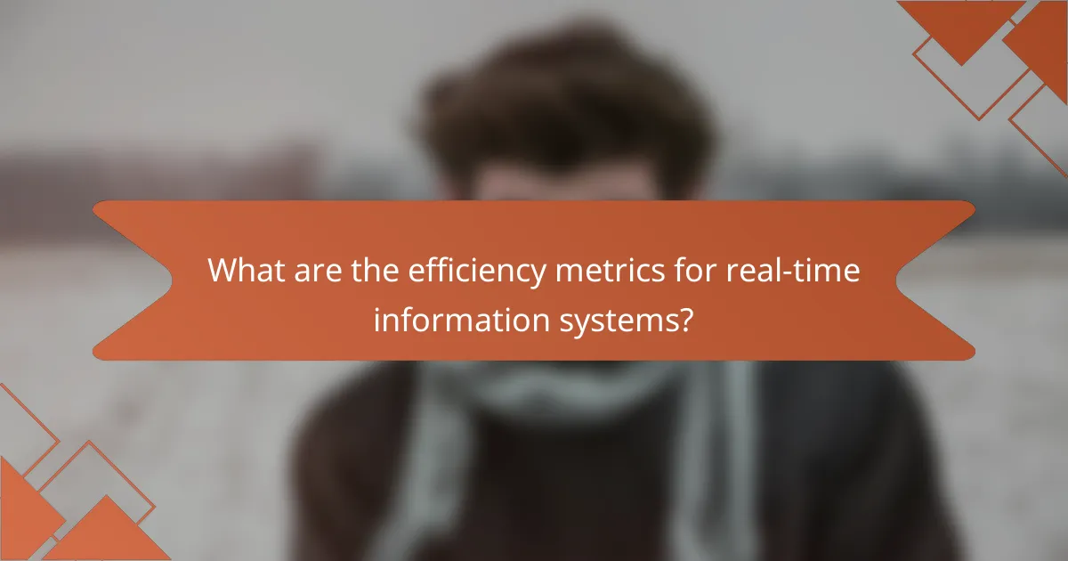 What are the efficiency metrics for real-time information systems?