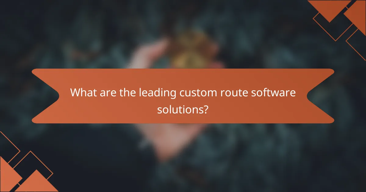 What are the leading custom route software solutions?