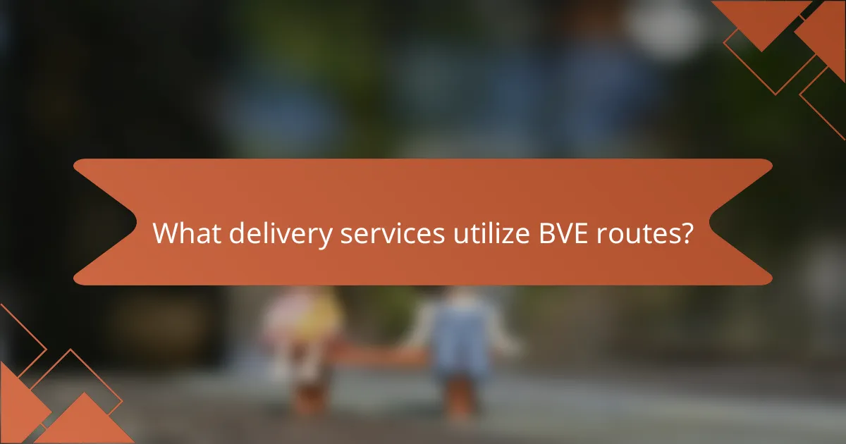 What delivery services utilize BVE routes?