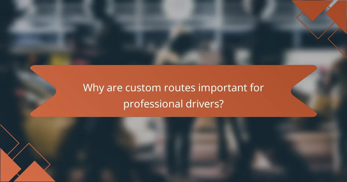 Why are custom routes important for professional drivers?